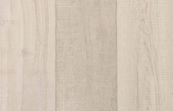 Enchanted Oak 51