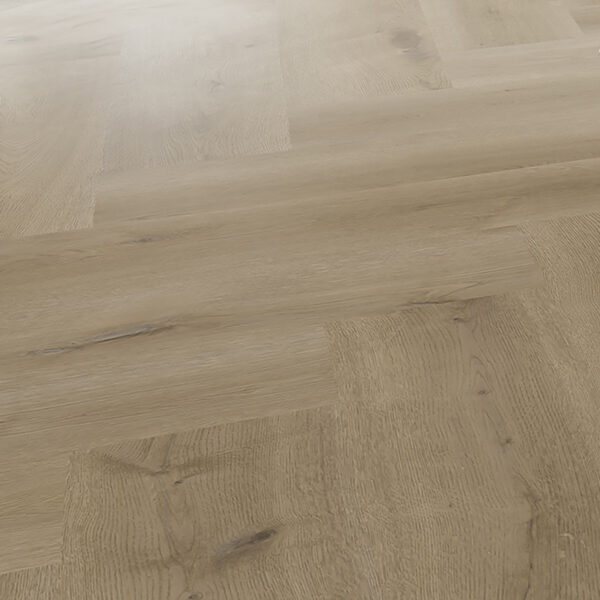 Texas Oak H54 - Image 3